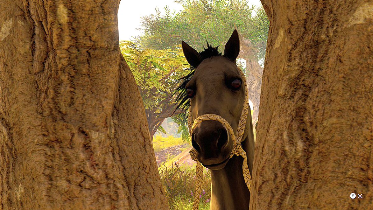 13brevkasse 📚 🌎 🎮 🗺📷 tweet media