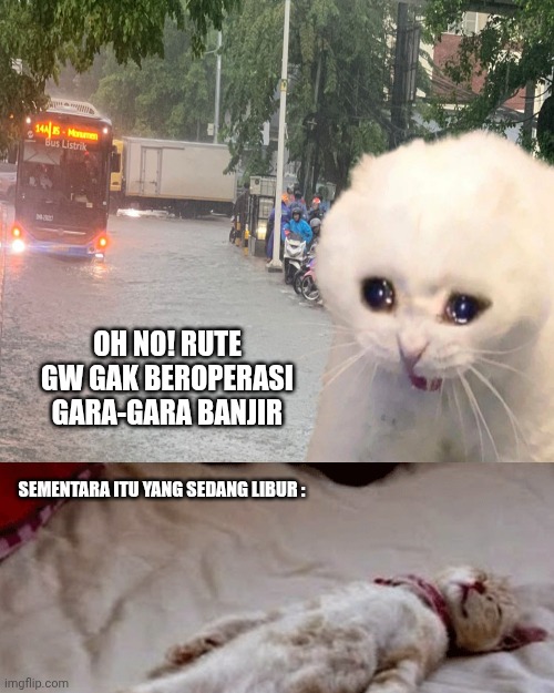 Busway Fans Club tweet media