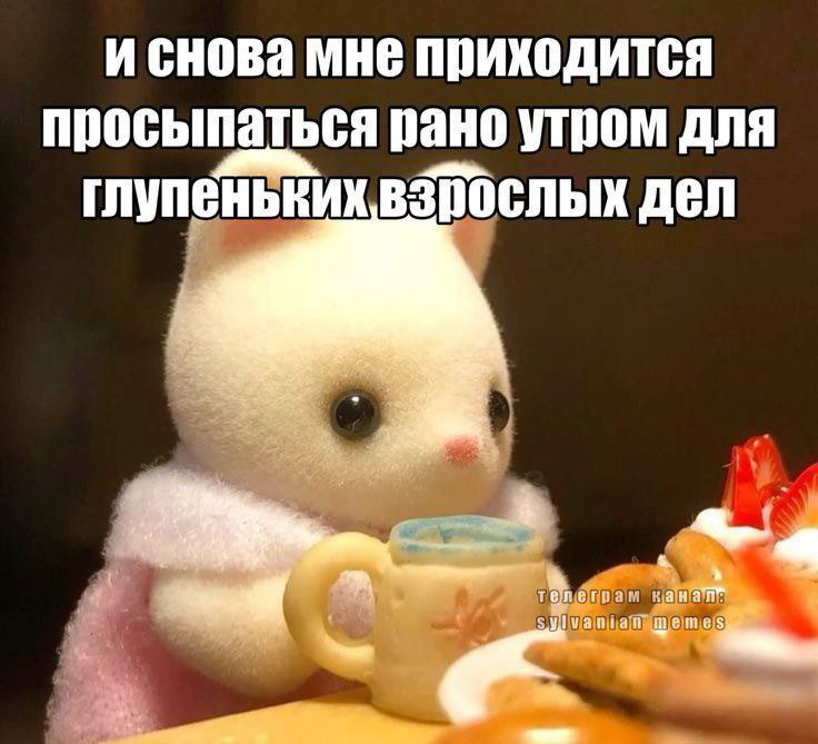 Обыкновенный цинизм tweet media