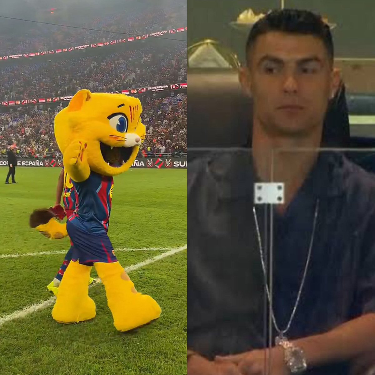 Tocapilotes's tweet image. Títulos en Arabia 🇸🇦: 
🐱 Cat = 2
🇵🇹🐫 Cristiano = 0