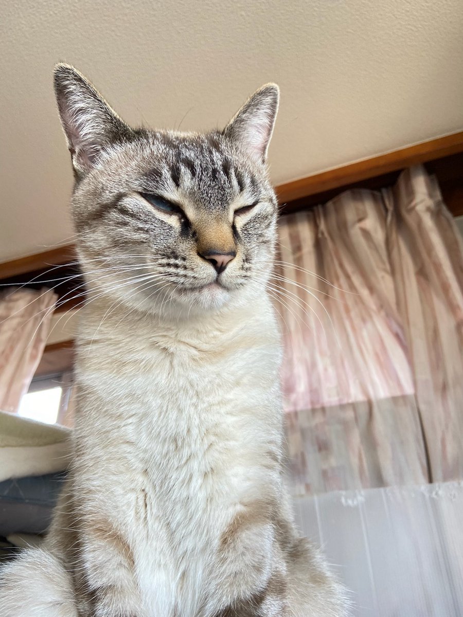 そら🐾 (@_sora0613_) / Posts / X