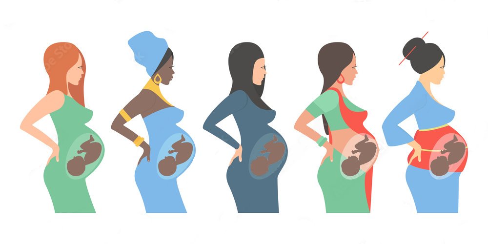 𝗕𝗡𝗪𝗢-𝗛𝘂𝗯 💎 tweet media