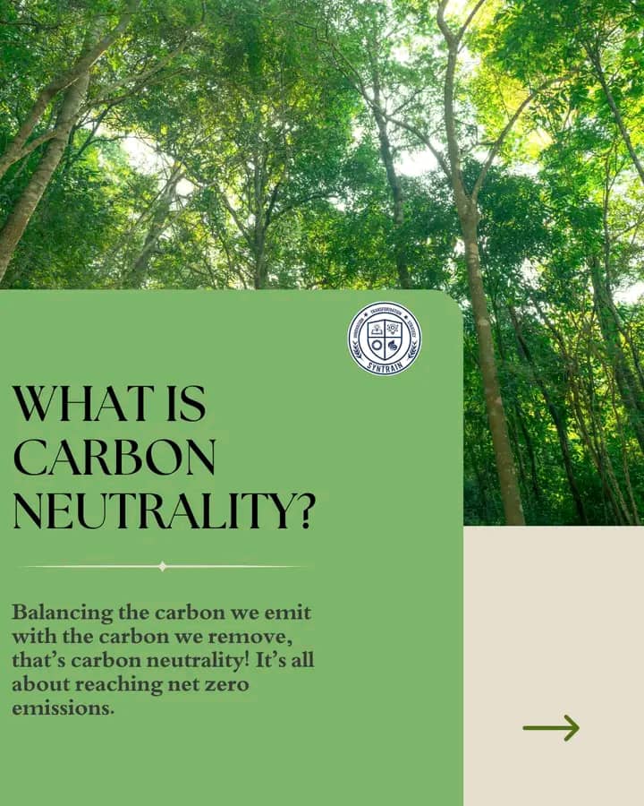 anitah86699's tweet photo. It is always positively said that "small acts make big impacts" 
But did you know that in the other way round the small acts of tree cutting for fuel make big negative impacts of long lasting carbon print which also takes a lot of effort to be neutralized.
#PCCR
#ClimateAction https://t.co/G0WVyiV5OB