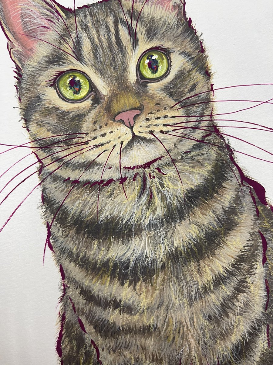 福嶋吾然有 (@AsariCats) / Posts / X