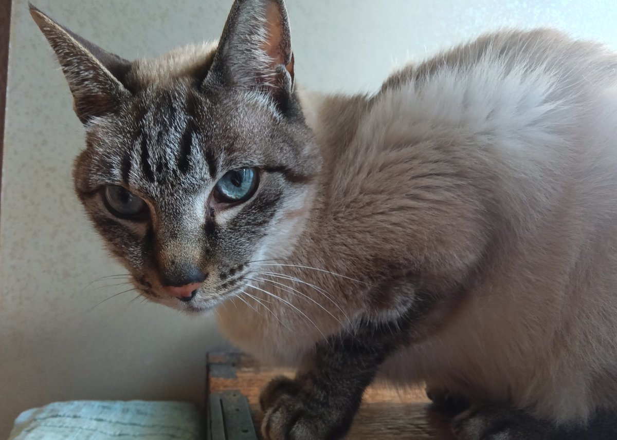 きーさんが全力疾走してたので、うんこさんかいな？と見に行ったら