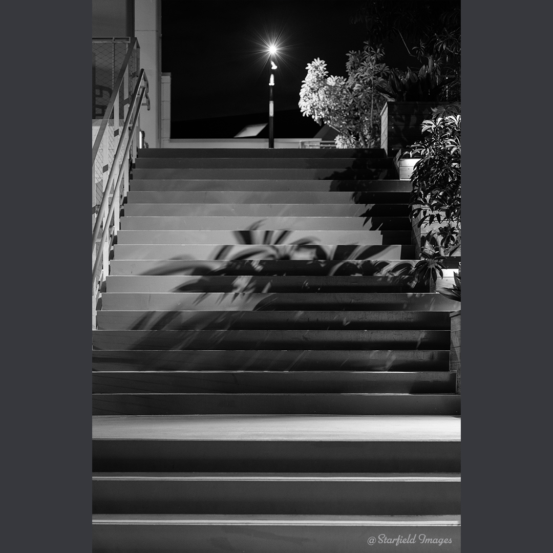 starfield1970's tweet photo. 19:54 Starlight above the Stair
通り過ぎることができなかった場所。
成人を迎える皆様、おめでとうございます!
#ファインダー越しの私の世界
#写真好きな人と繋がりたい
#成人の日
#モノクロ写真
#monochrome
#night
#photooftheday
#Fujifilm
#AcrosGreen
#StarfieldImages https://t.co/9cV9KkYc9F