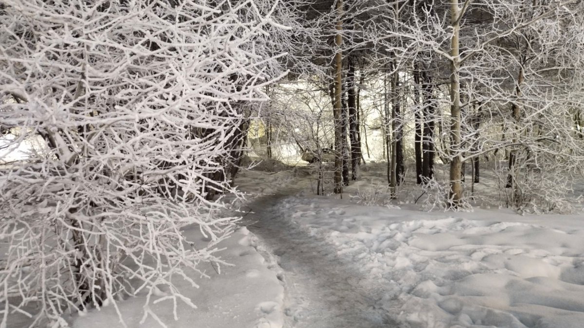 Морозы в Мурманской области не отступают

12 января Кольский полуостров будет находиться под влиянием поля повышенного атмосферного давления.  Как сообщает Мурманское УГМС, в Мурманской области переменная облачность. Местами небольшой...
severpost.ru/read/201322
#новости #Мурманск