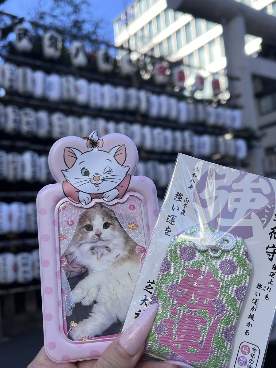 あざらし🦭 (@azarashi_MIX) / Posts / X