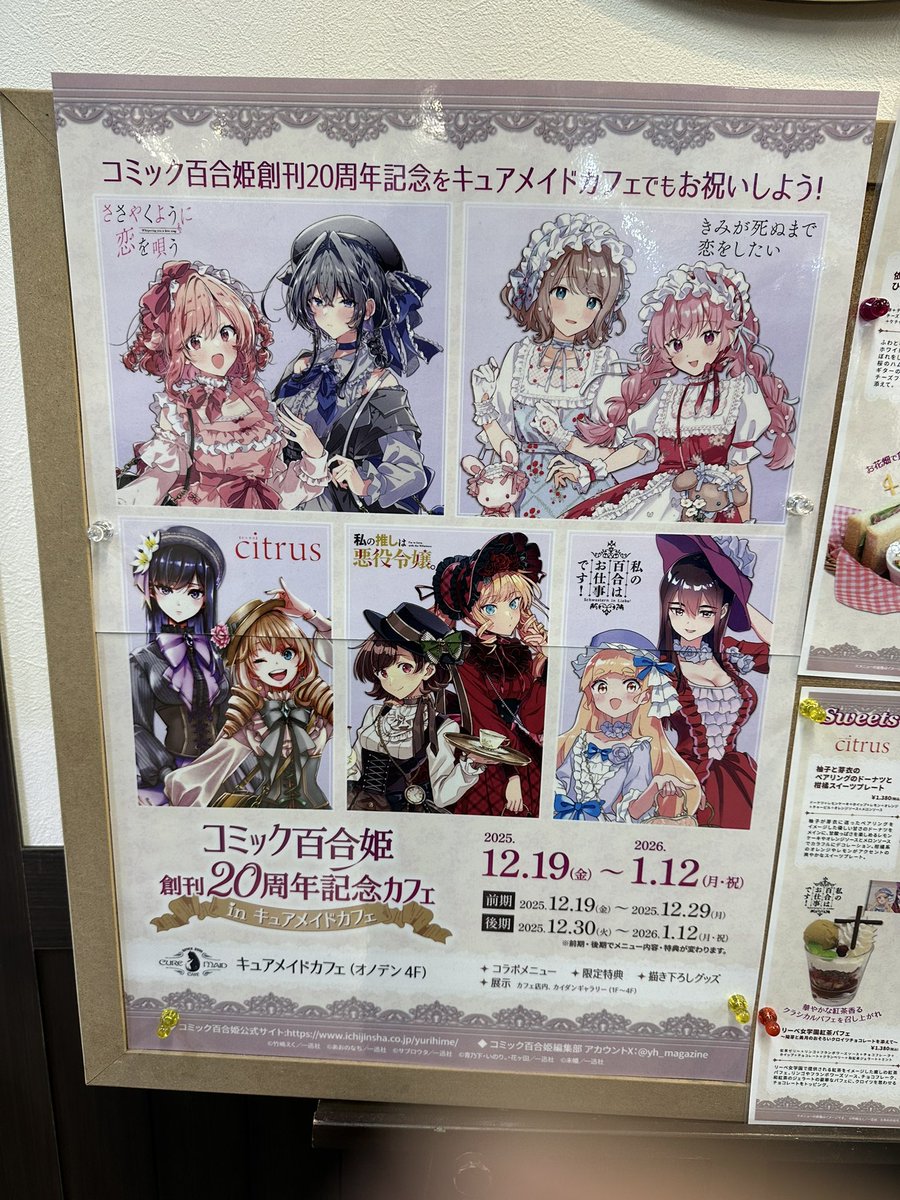 百合姫 キュアメイドカフェ 特典 イラストカード 第1弾 第2弾 コンプセット 百合姫 キュアメイドカフェ 特典 イラストカード 第1弾 第2弾 コンプ