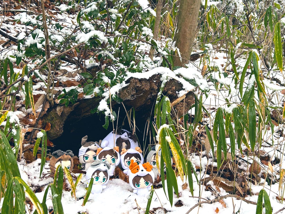 きょうのわんこの巣🐶🐶🐶🐶🐶🐶🐶🐶