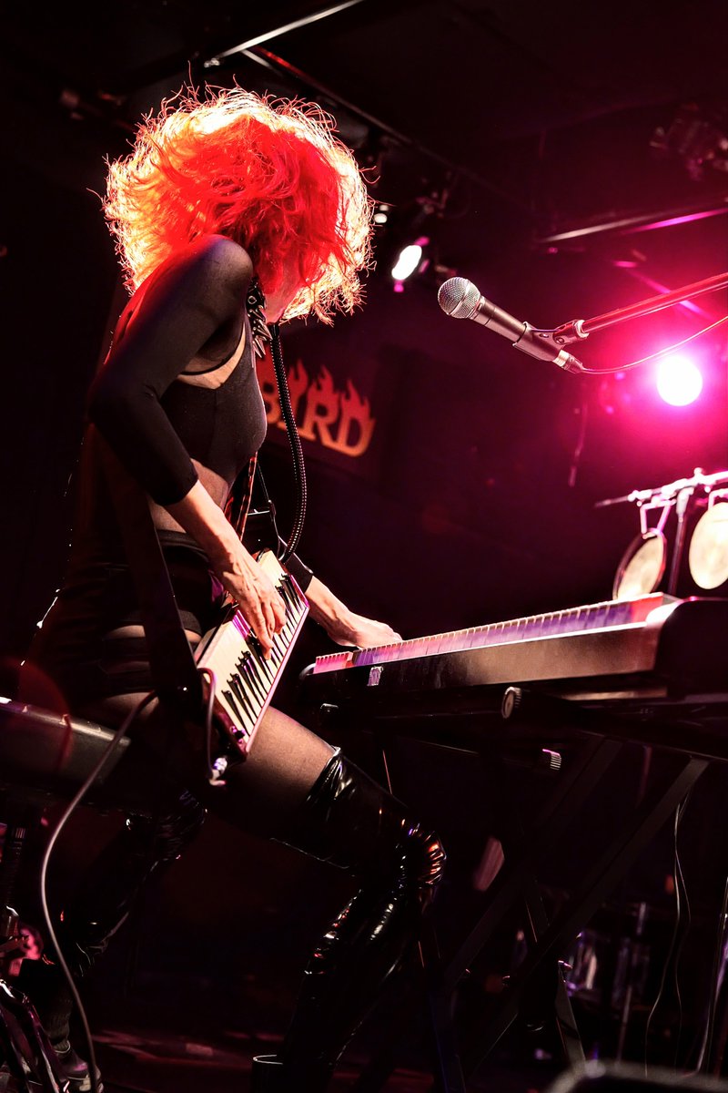 新井 洋一 tweet media