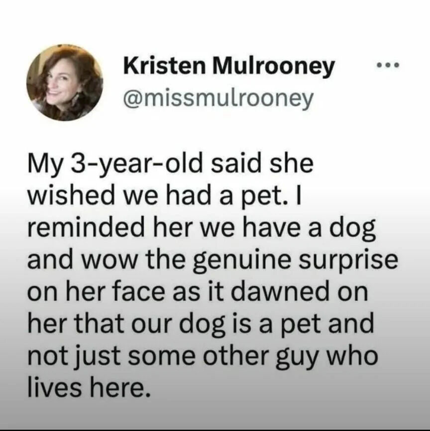 WholesomeMeme's tweet image. 