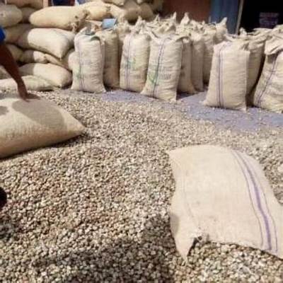 AgroExpott's tweet photo. We supply export-grade Nigerian cocoa beans and cashew nuts, carefully sourced, graded, and prepared to meet international standards. https://t.co/woHcda946X