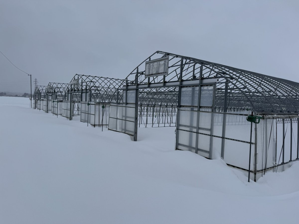 ぽんぽん爺 (@ponponzie33s) / Posts / X