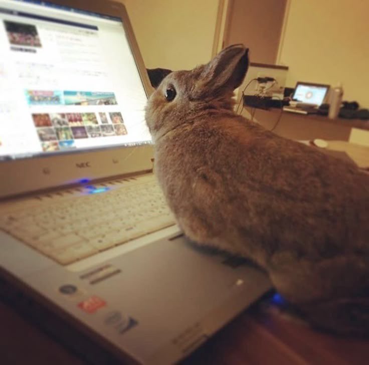 34rths's tweet image. Searching up synonyms to use in my essay