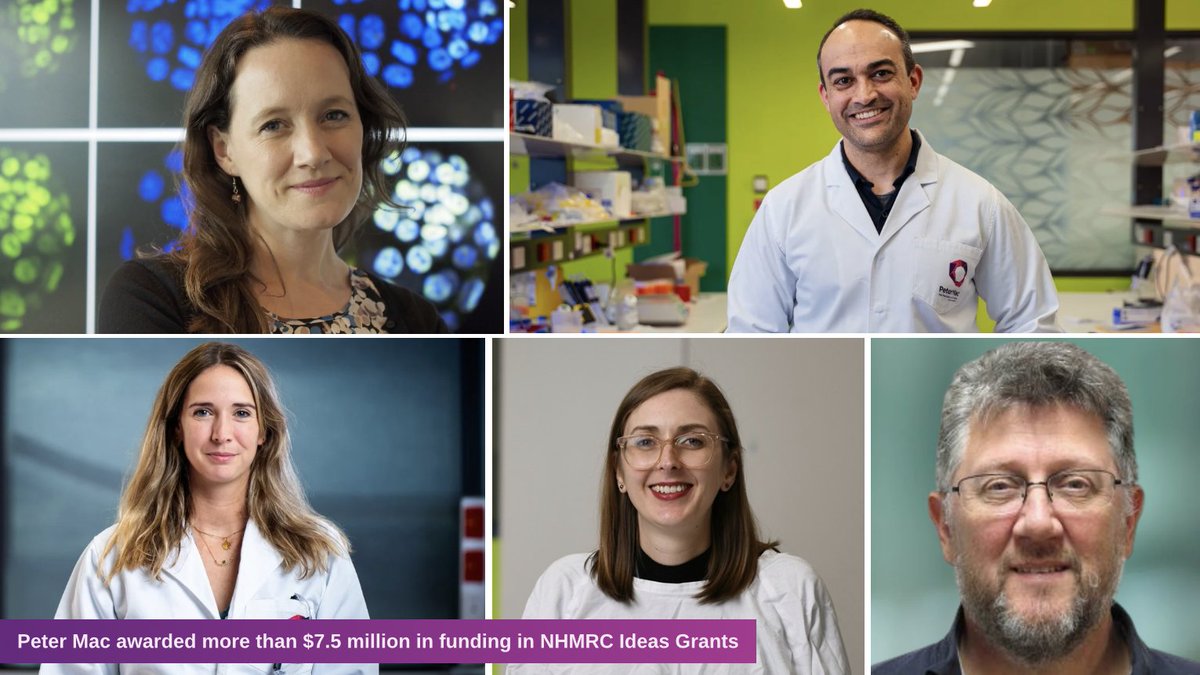 Peter Mac has been awarded $7.5M+ in <a href="/nhmrc/">NHMRC</a> Ideas Grant funding for five innovative projects tackling cancer metastasis, treatment resistance and immunotherapy.

An outstanding result in a highly competitive scheme! 

Read more: petermac.org/about-us/news-…