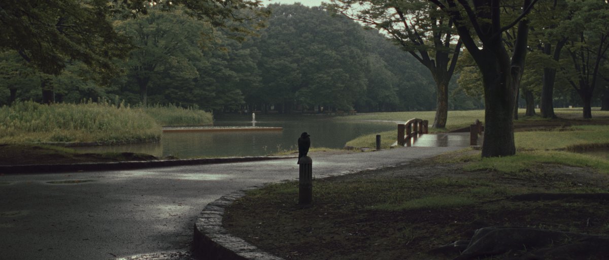 yoyogi_doc's tweet photo. ＼

場面写真📸

／

エストニア×日本 合作
代々木公園を観察したドキュメンタリー映画『YOYOGI』

2026/1/16（金）～1/22（木）
シアターギルド®︎ （代官山）にて上映 https://t.co/pn8fl5cB53