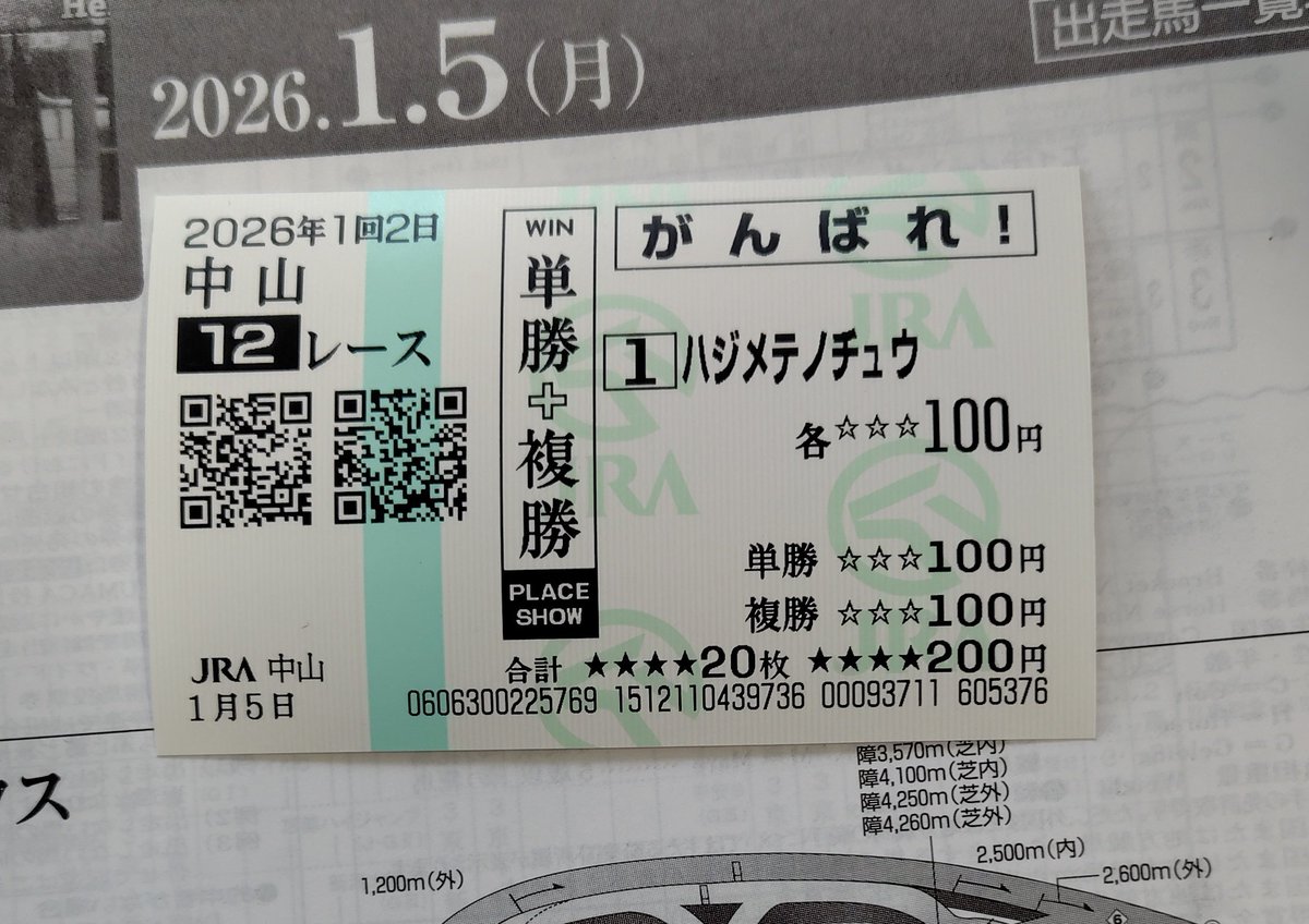 応援馬券と組み合わせると更に良い感じになる珍名馬さんもいますね。