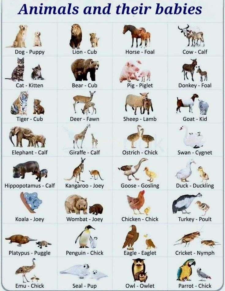 _learnEnglis's tweet photo. https://t.co/EfIy79ta5V