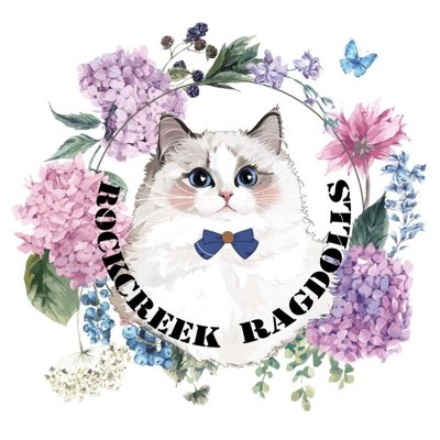 JaneBalter's tweet image. #NewProfilePic