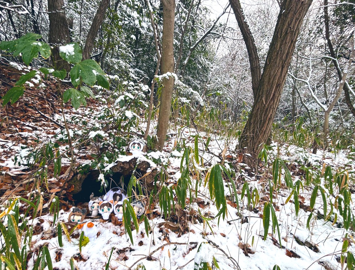 🐶🐶🐶🐶🐶🐶🐶🐶