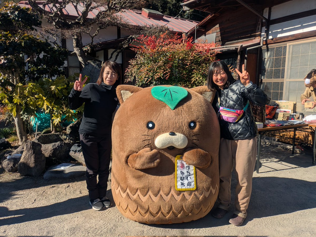 やはたいぬ tweet media