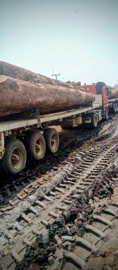 AbiluTangwa's tweet photo. Think of ancient forests as carbon vaults. Burning them is like robbing the bank of our future stability to buy a candy bar today. It's not progress; it's planetary sabotage. #CarbonSinks #Ecocide https://t.co/Z67s35TXqZ