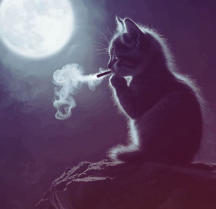 furry_x23's tweet image. Aveces solo tienes que menear tu chapa y ya