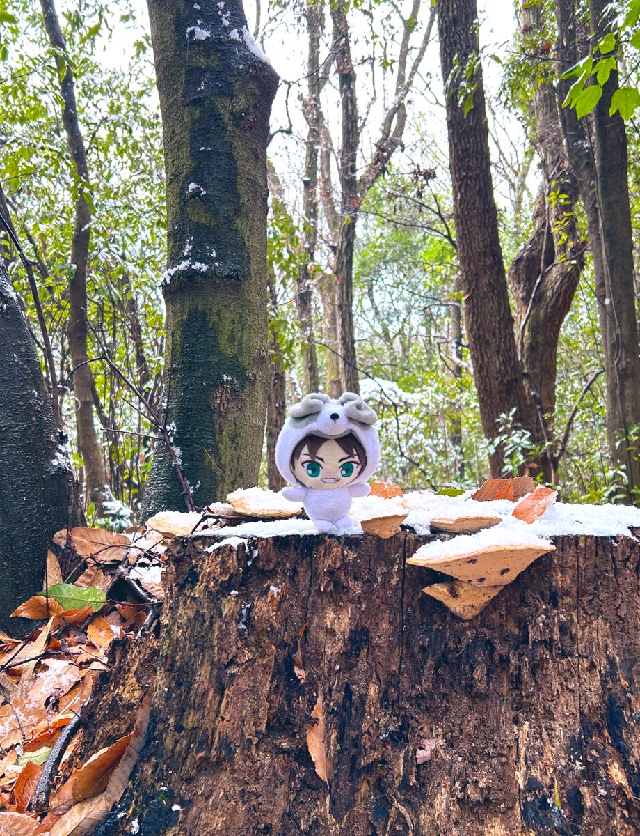 雪がのってるワンコノテーブル🐶