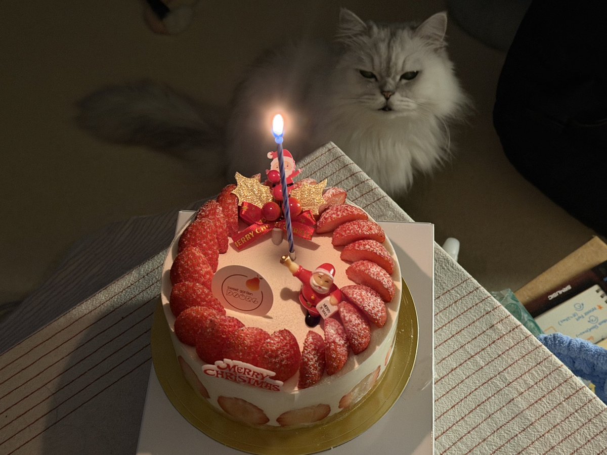 꿀버섯 tweet media