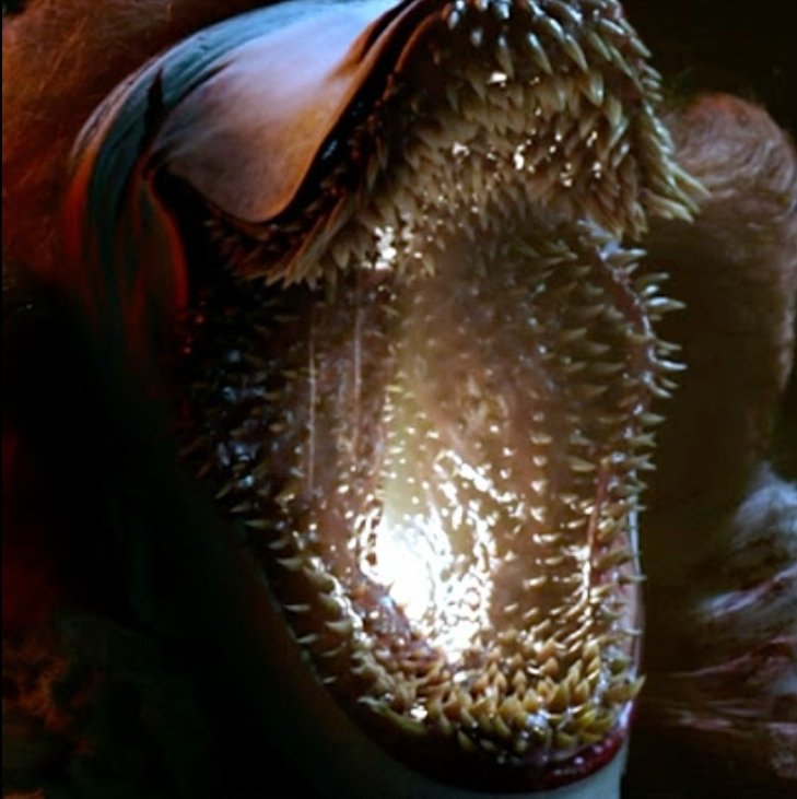 iqozoid's tweet image. Herzha vs Pennywise

Who wins?