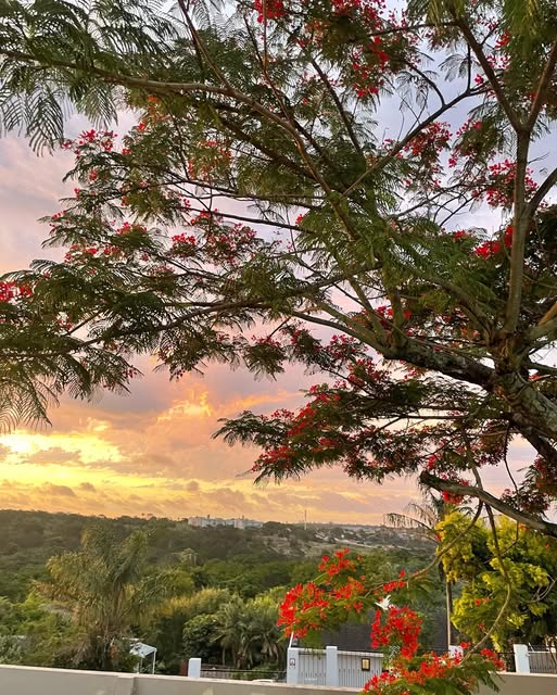 OfficialBCMM's tweet photo. Good morning, Buffalo City!
Bhisho: 17°C / 38°C
Qonce: 17°C / 37°C
Duncan Village: 21°C / 29°C
Mdantsane: 21°C / 29°C
East London: 21°C / 30°C

The SASSETA Unemployed Bursary Programme is open. Visit https://t.co/haXEYAUhrJ or call 011 087 5500
#SASSETA #EasternCape 
#buffalocity https://t.co/ic4WcW1UZS