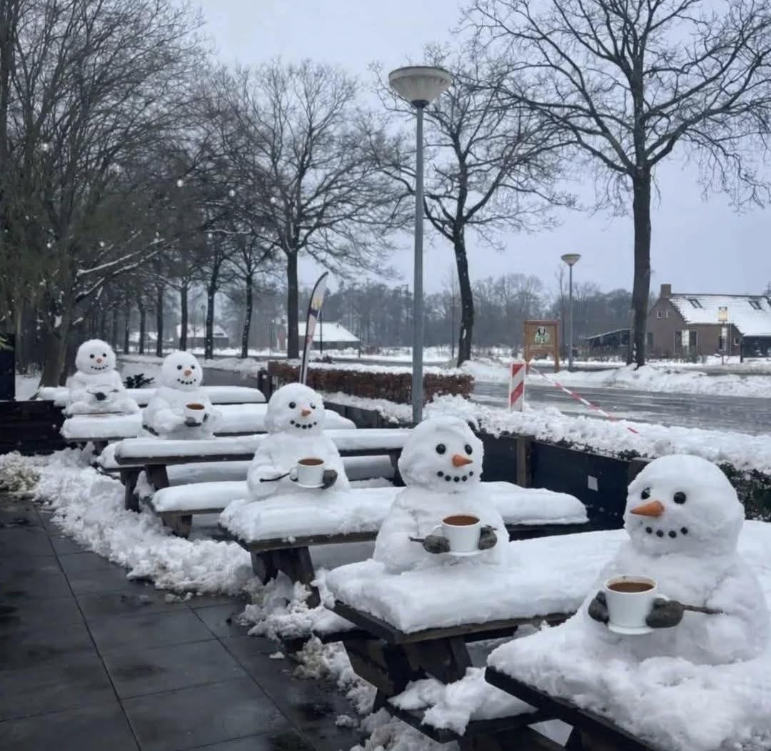 IrenaBuzarewicz's tweet image. Good morning