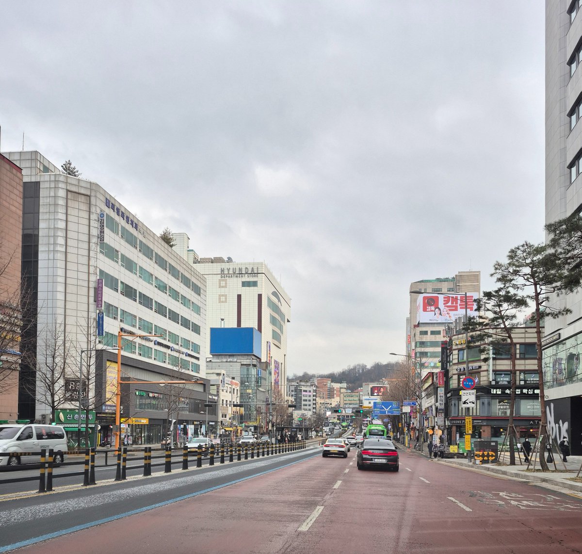 사바나 수련자- Level 4 tweet media