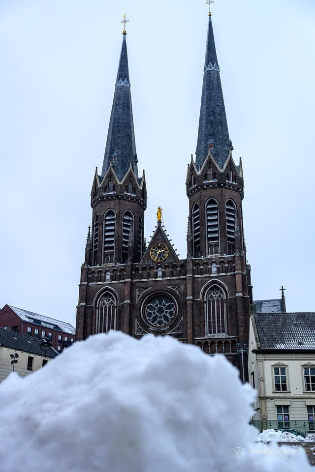 Freddie de Roeck tweet media