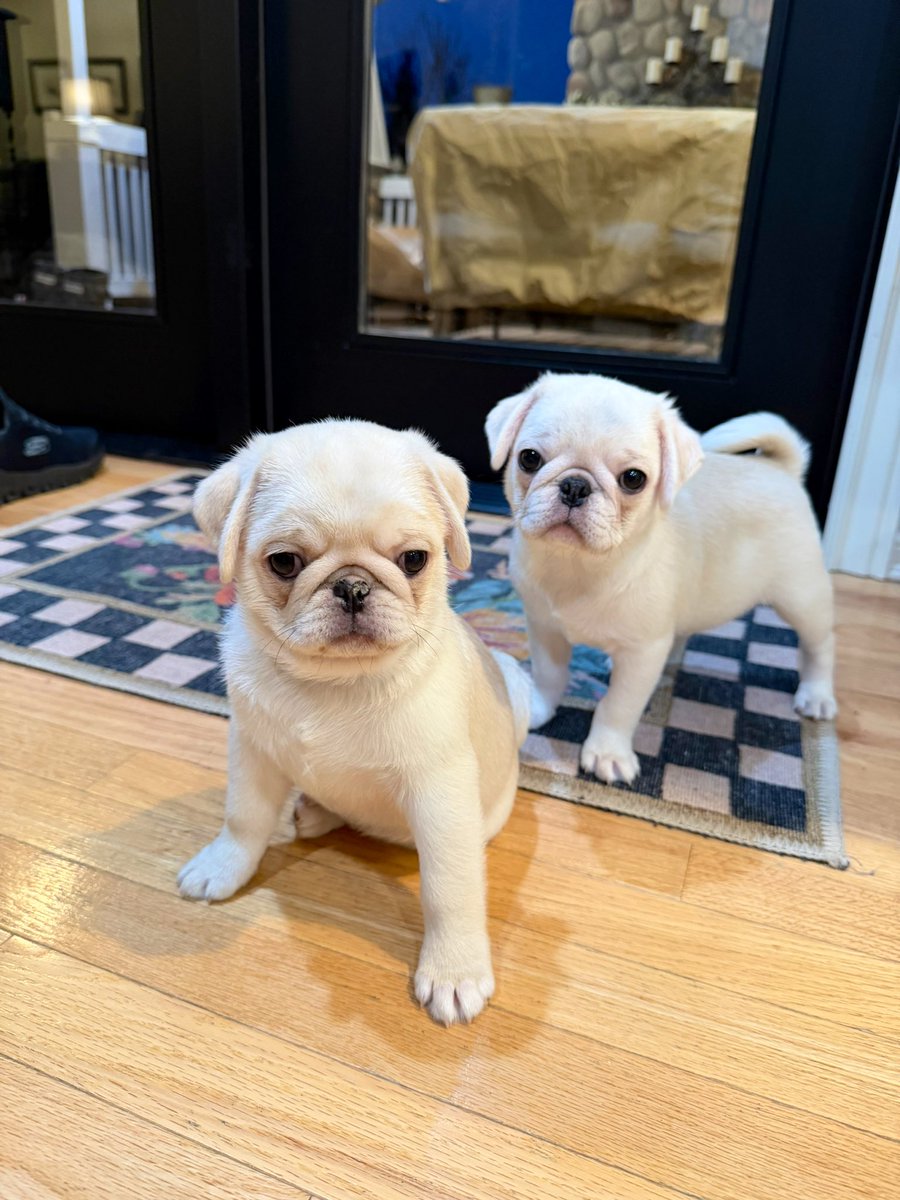 Ashley Anderson tweet media