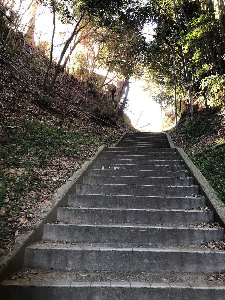 朝5時まで打ち上げ、いま茨城。