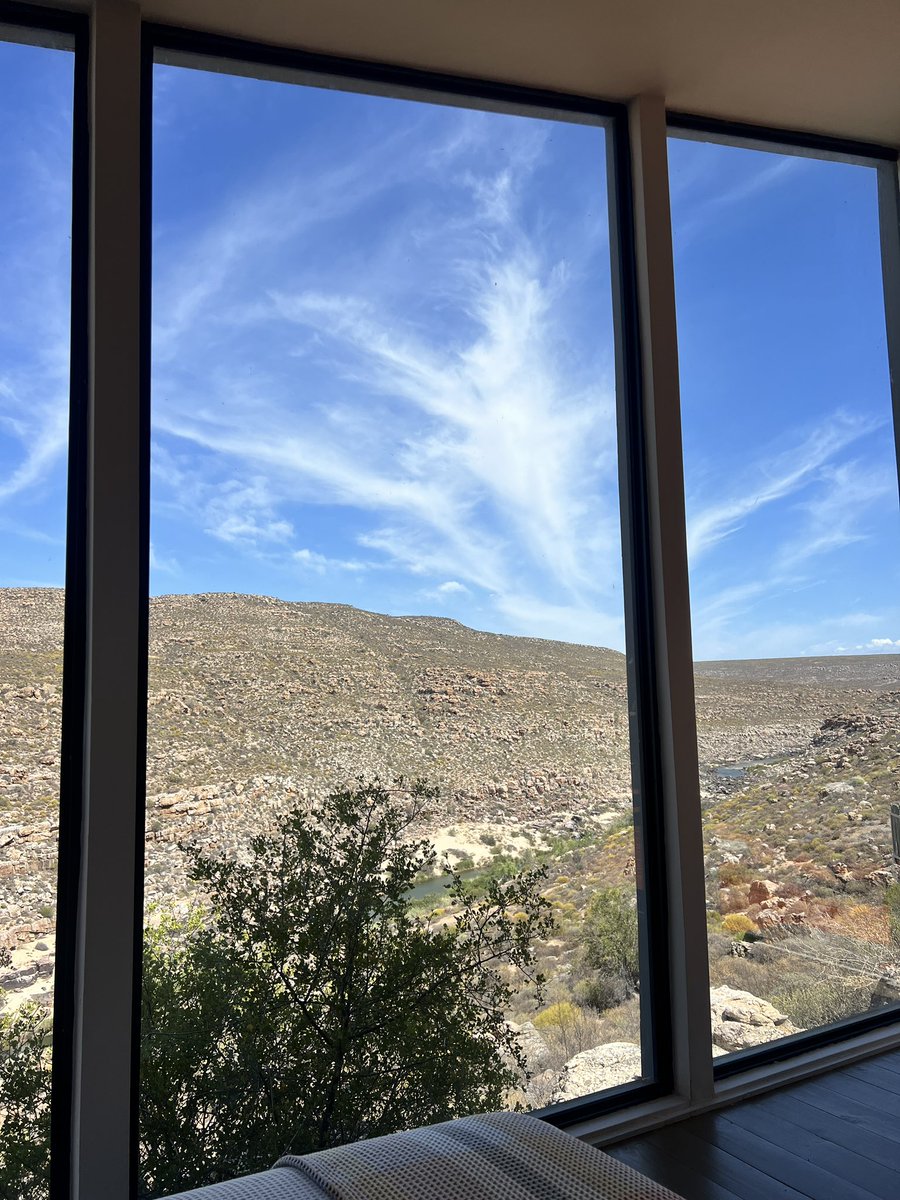 Marina Pape tweet media