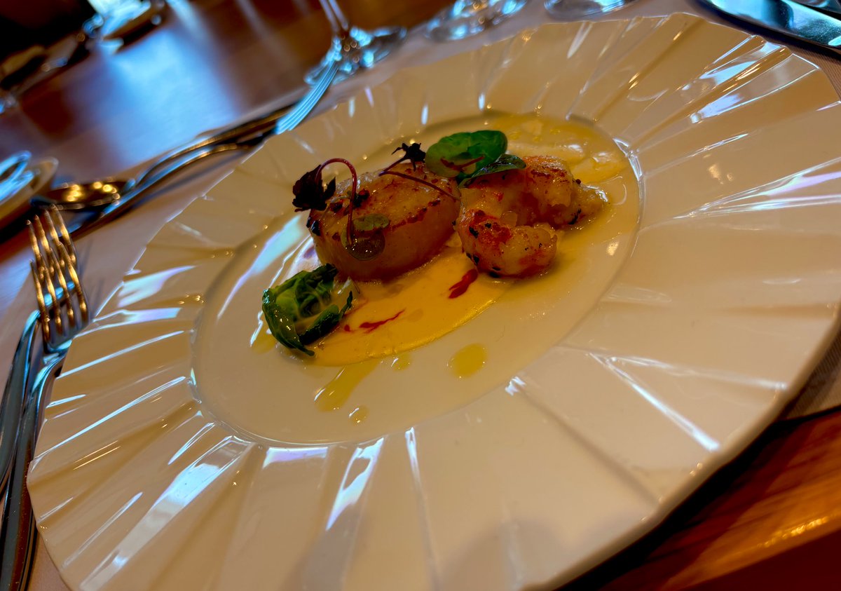 siniasu's tweet image. 🇫🇷🍾⭕️