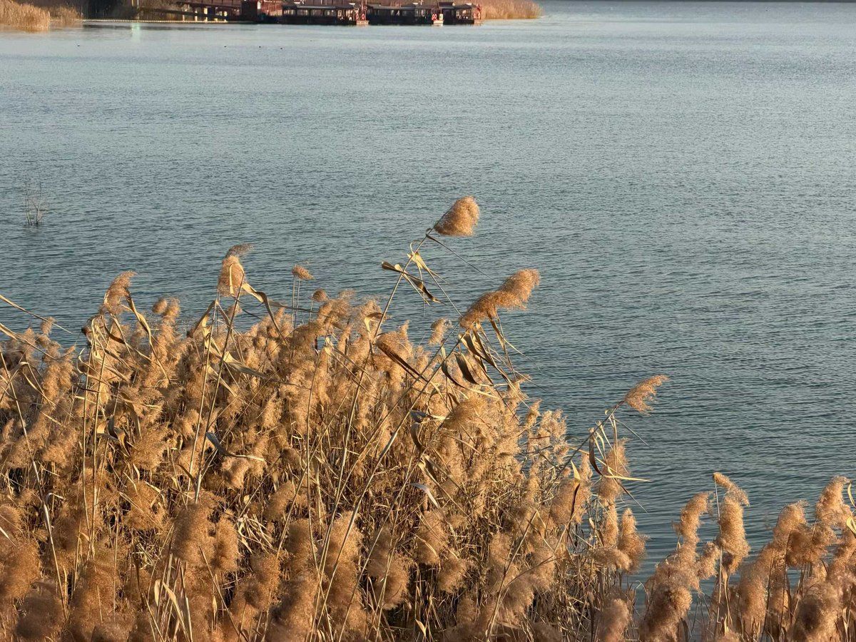 小王登船过¥v¥（互fo💯漏关请提醒） tweet media