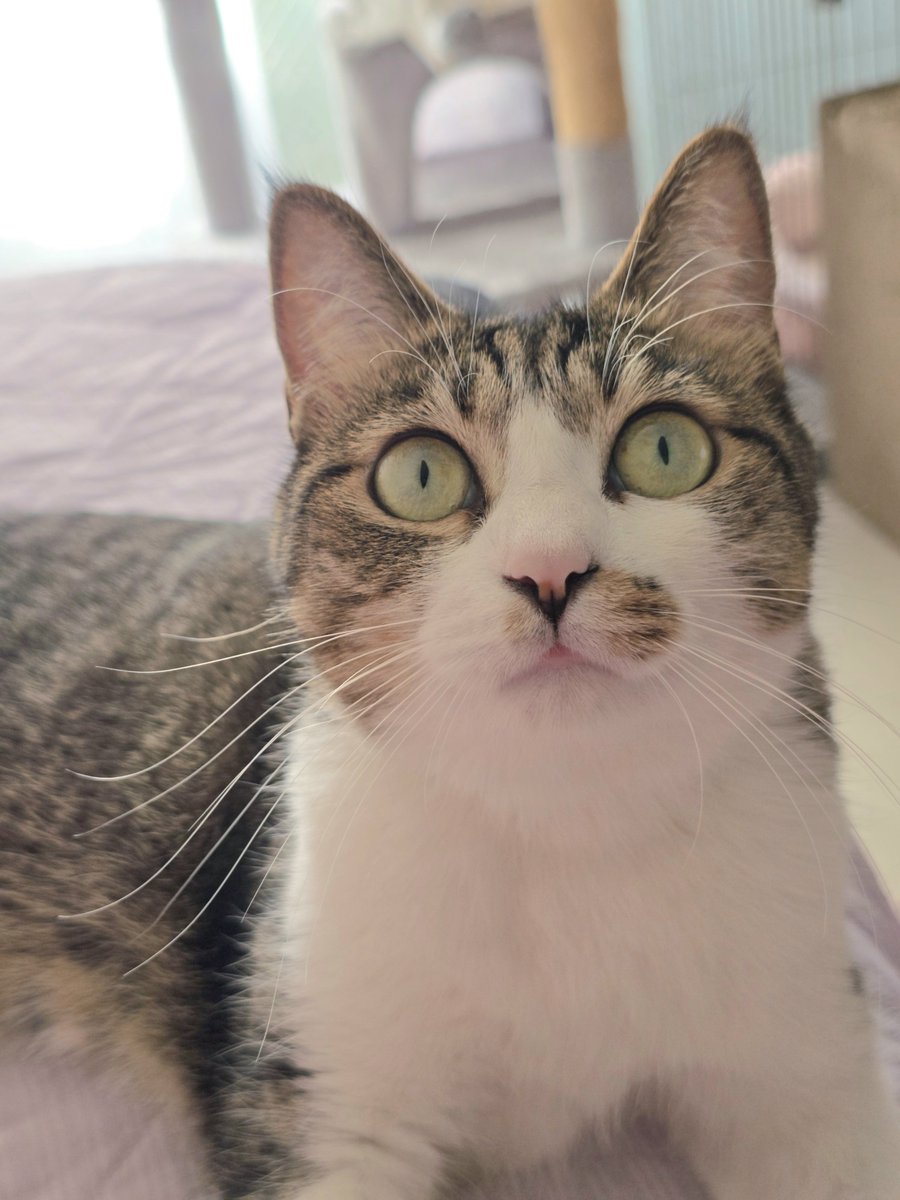 まりもちゃん！と🧌 (@marimo2021915) / Posts / X