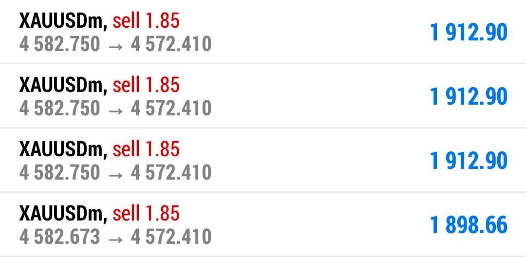 Chiara Bianchi tweet media