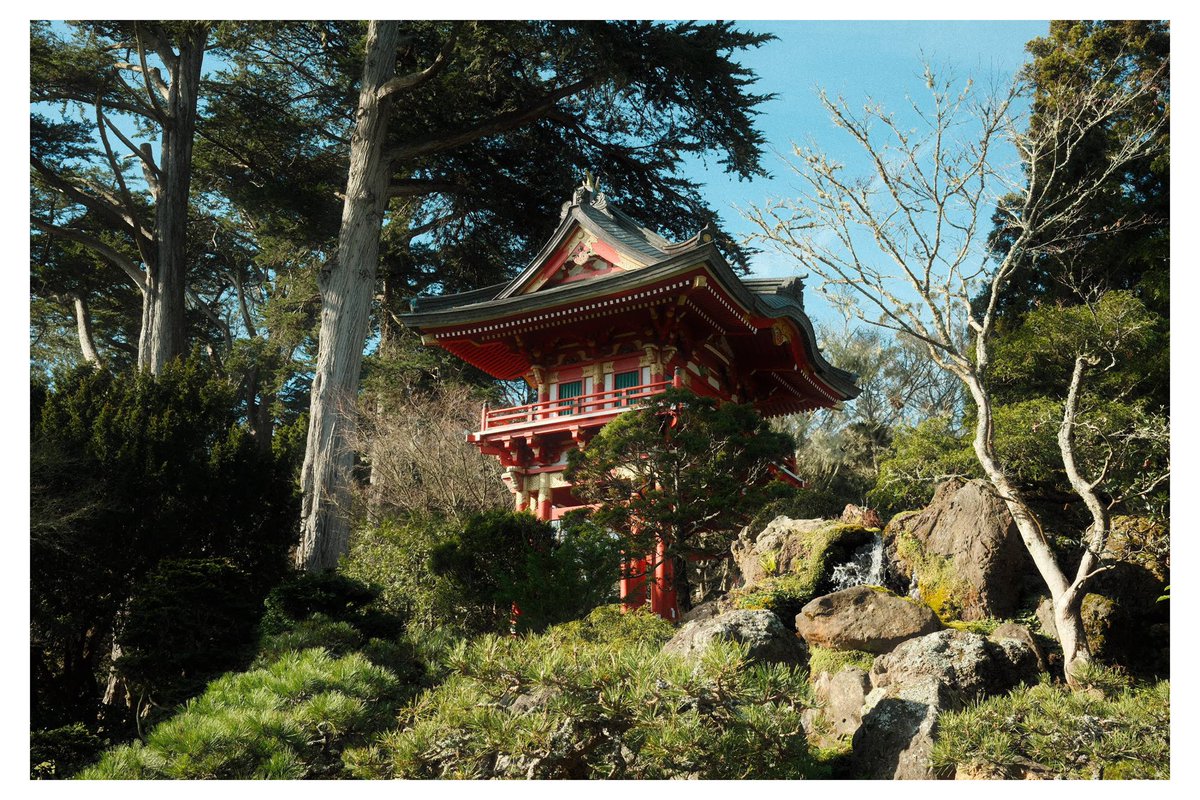 Christian Okokhere tweet media