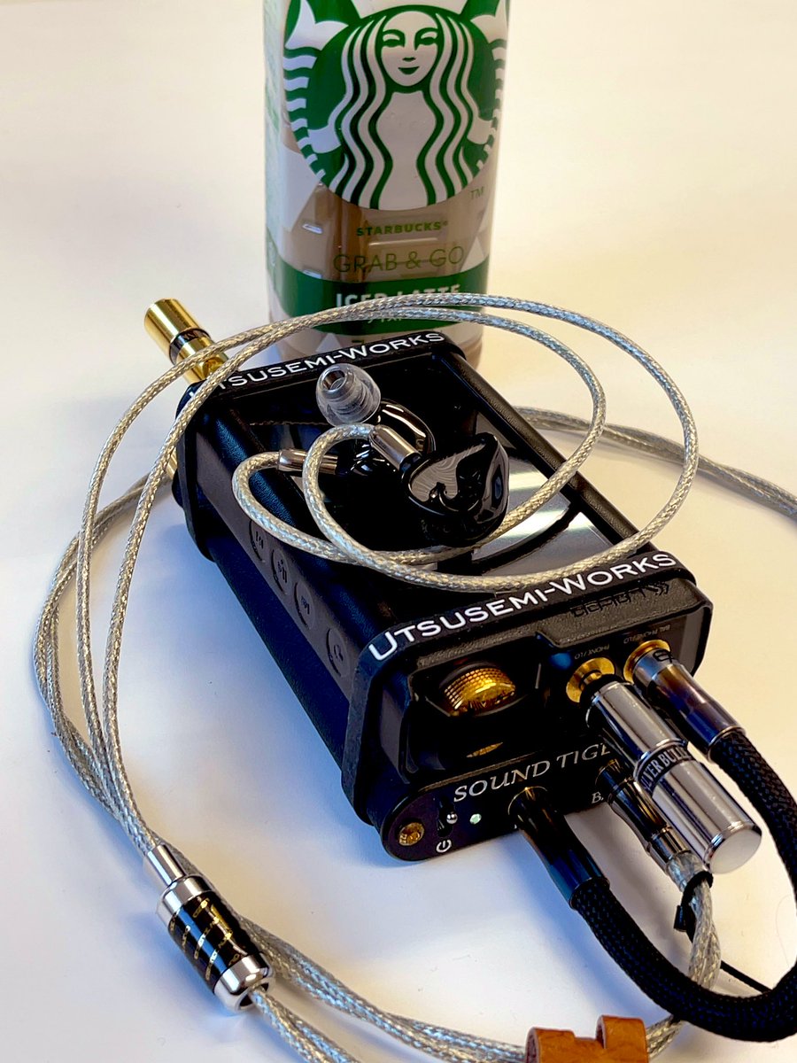 イヤホン ESSENCE AUDIO Solid One proto 完全ワイヤレスBluetooth