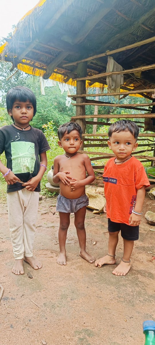 Mulniwasi koytor 750 tweet media