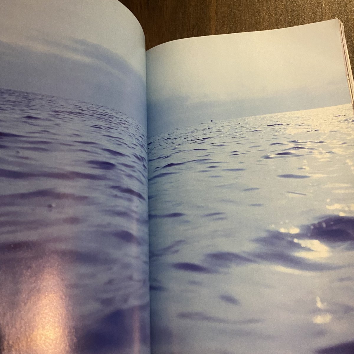 ホンマタカシ『きわめてよいふうけい:SHORT HOPE 中平卓馬』入荷してい