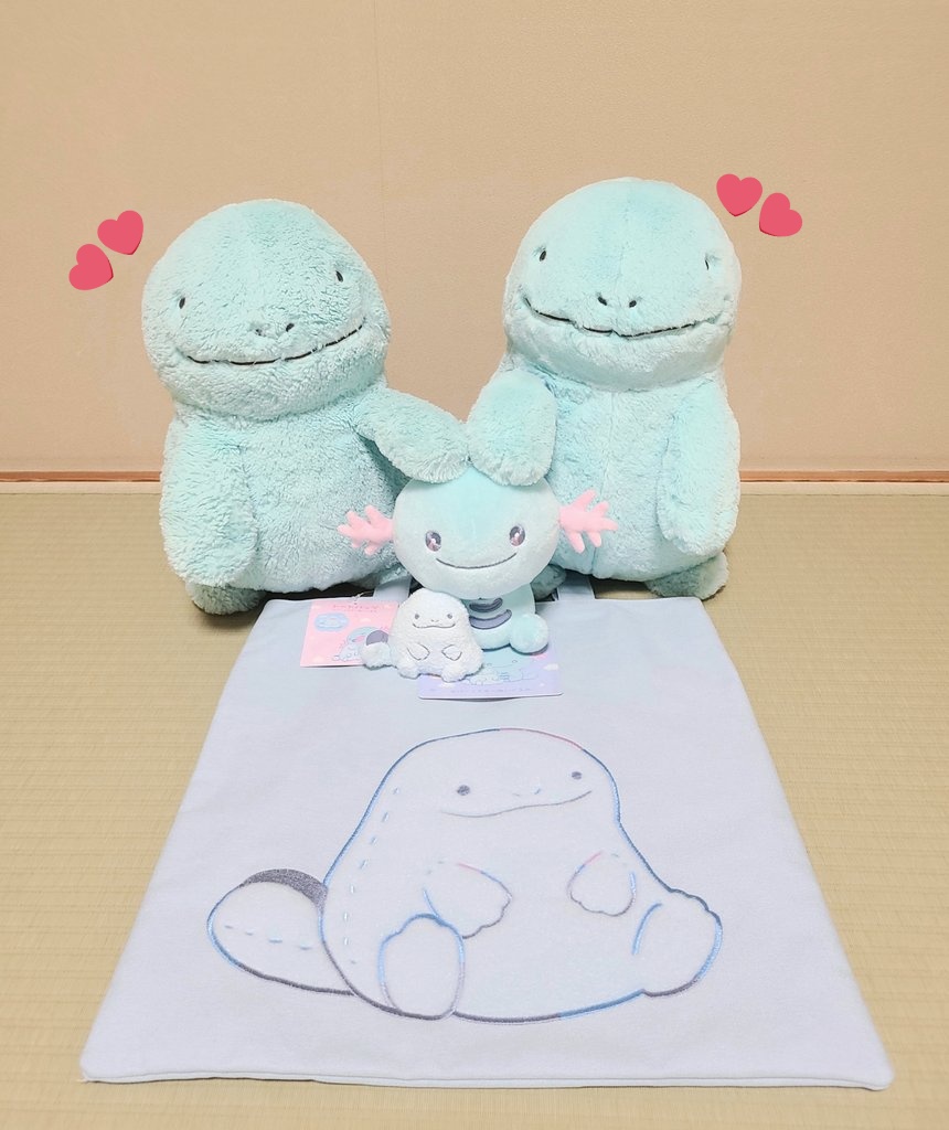 ぬおちゃんトートが届きましたぬ！！ ぬぁんと可愛い💓 手触りも