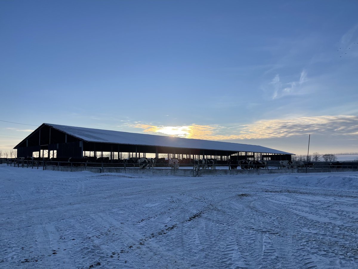 Ion Moraru 🇺🇦 tweet media