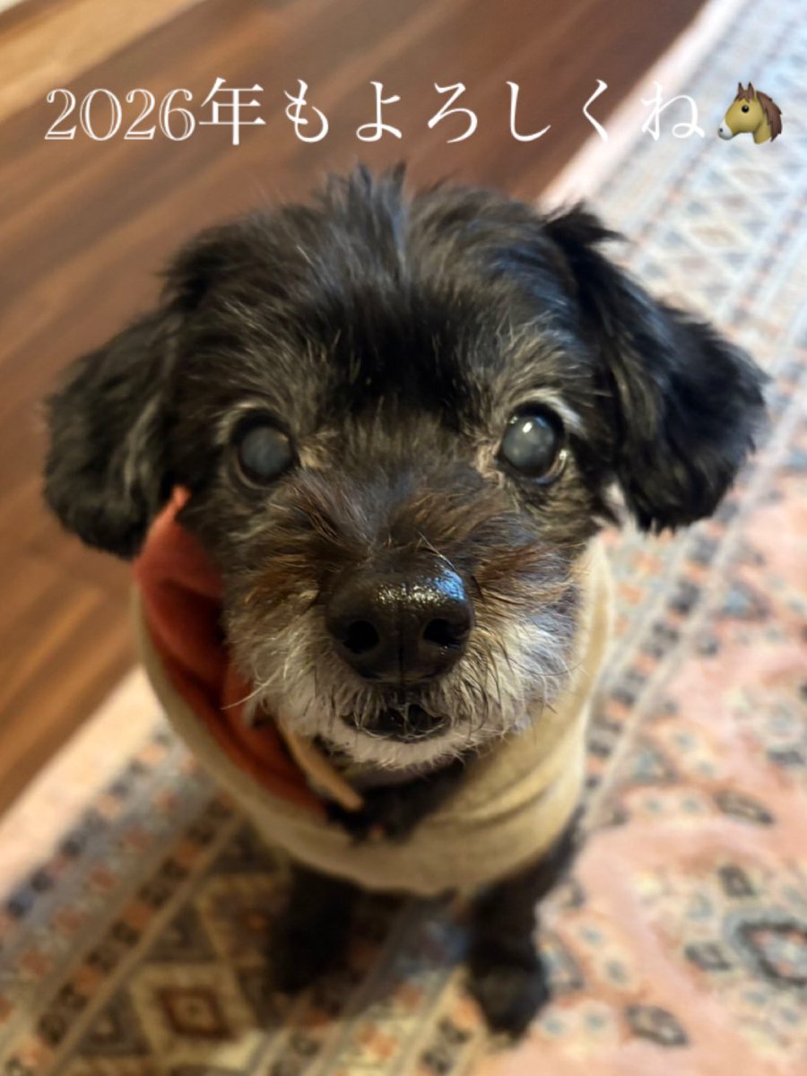 遅くなりましたが
これからもよろしくお願いします🙇