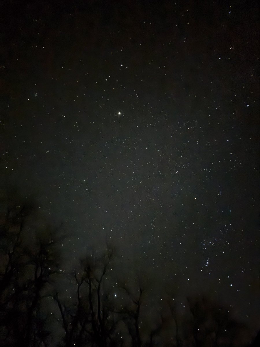 Secret__Jaguar's tweet photo. @cambam Thank you Cam <3 I ended up stepping outside a few minutes ago and saw that the night sky was (for once) clear and covered in stars. It was so pretty and helped me relax a bit (even though it was cooooold outside) https://t.co/5vkGDBaaxi